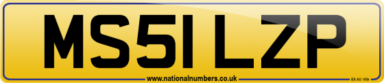 MS51 LZP