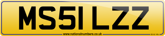 MS51 LZZ