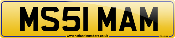 MS51 MAM