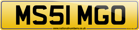 MS51 MGO