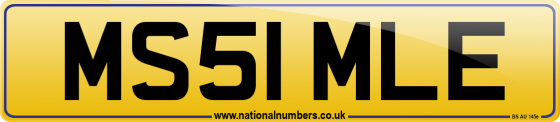 MS51 MLE