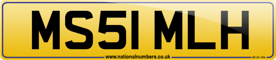 MS51 MLH