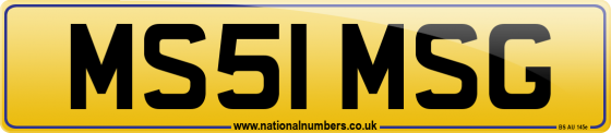 MS51 MSG