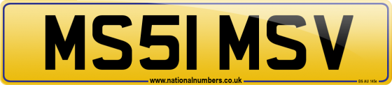 MS51 MSV