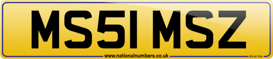 MS51 MSZ