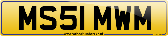 MS51 MWM