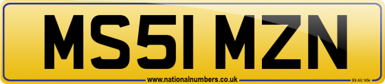 MS51 MZN