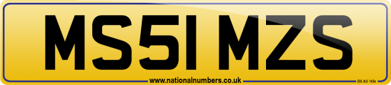 MS51 MZS