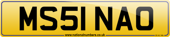 MS51 NAO