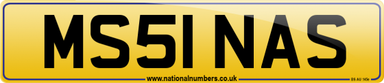 MS51 NAS