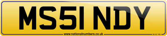 MS51 NDY