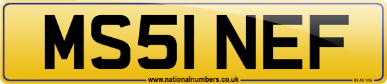 MS51 NEF