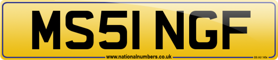 MS51 NGF