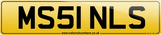 MS51 NLS