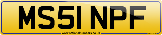 MS51 NPF
