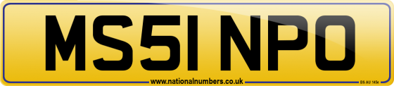 MS51 NPO