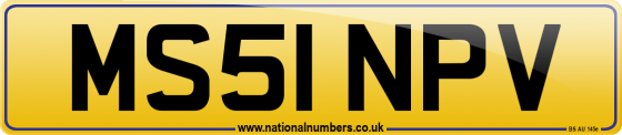 MS51 NPV