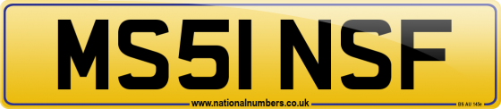MS51 NSF