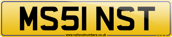 MS51 NST