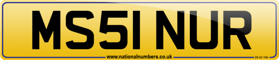 MS51 NUR