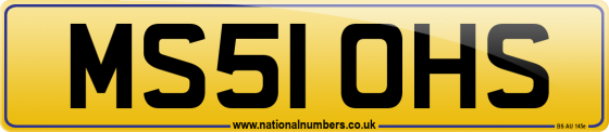 MS51 OHS