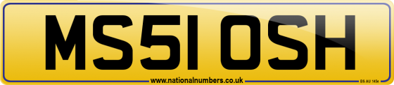 MS51 OSH