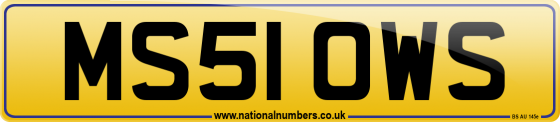 MS51 OWS