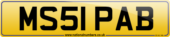 MS51 PAB