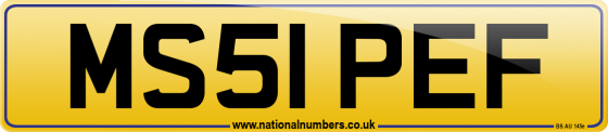 MS51 PEF