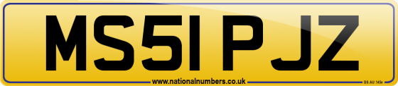 MS51 PJZ