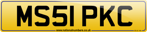 MS51 PKC