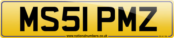 MS51 PMZ