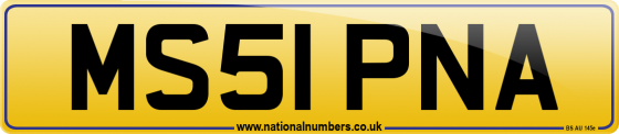 MS51 PNA