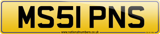 MS51 PNS