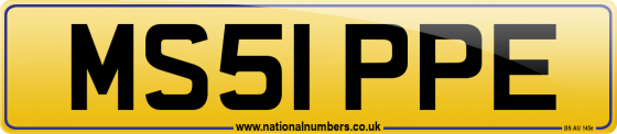 MS51 PPE