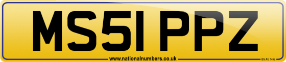MS51 PPZ