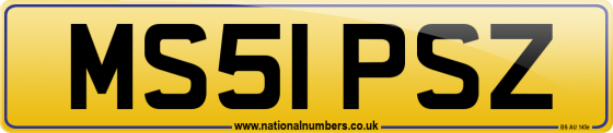 MS51 PSZ