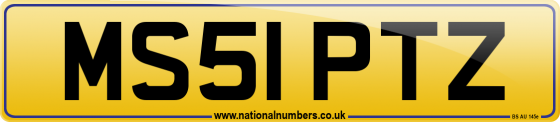 MS51 PTZ
