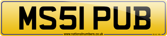 MS51 PUB