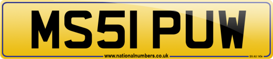 MS51 PUW