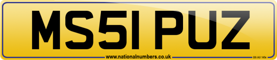 MS51 PUZ
