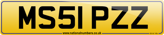 MS51 PZZ