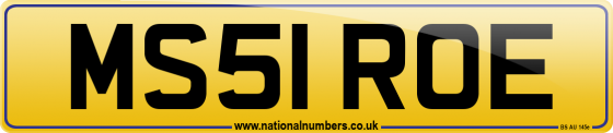 MS51 ROE