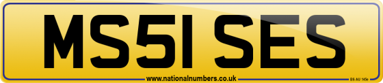 MS51 SES