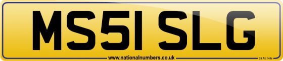 MS51 SLG