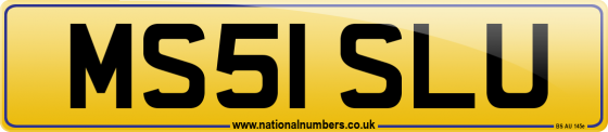 MS51 SLU