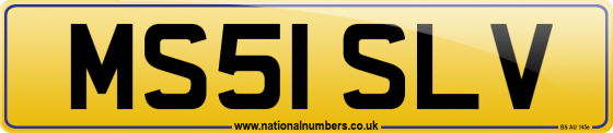 MS51 SLV