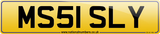 MS51 SLY