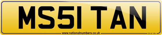 MS51 TAN