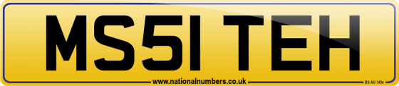 MS51 TEH